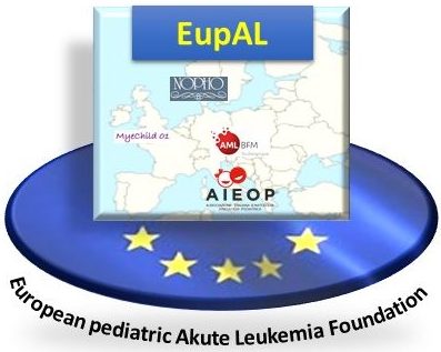 European pediatric Acute Leukemia (EupAL) foundation